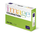 Image ColorAction A4 80 g č.MA42 Java (středně zelená) 50 listů
